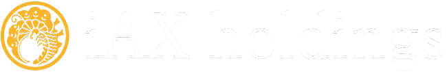 株式会社iAXホールディングス(iAX Holdings, inc.)